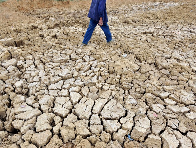 Китайский фермер обходит свои высохшие поля. Фото: STR/AFP/Getty Images