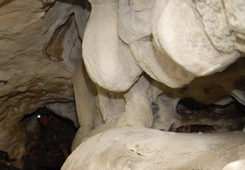 На севере Испании в пещере неподалеку от города Билбао археологи обнаружили наскальные рисунки, которые были сделаны около 25 тыс. лет назад.