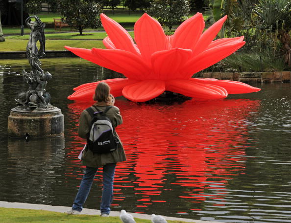 Квітка лотоса — скульптура корейського художника Цой Джонг Хва, Сідней, 2010 рік. Фото: GREG WOOD/AFP/Getty Images