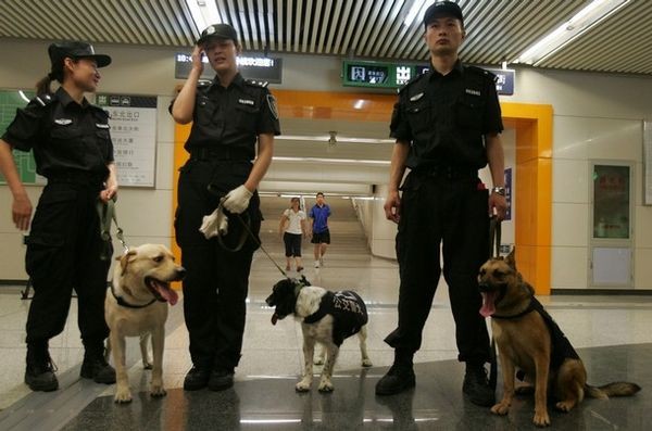 13 липня. Пекін. Поліцейські із собаками перевіряють речі пасажирів пекінського метро. Фото: China Photos/Getty Images 