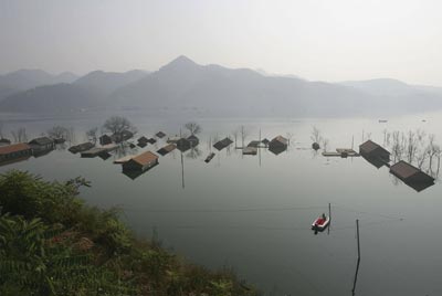 Фото: China Photos/Getty Images