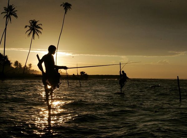 Особенности Шри Ланкийской рыбалки. Фото: LAKRUWAN WANNIARACHCHI/AFP/Getty Images