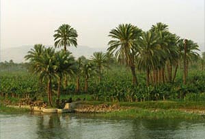 Найвіддаленіша точка Нілу розташована в дощових лісах Руанди. Ілюстрація: http://abbibo.ru