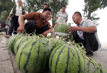 В эти дни торговля арбузами в Пекине идет очень бойко. Фото: BROWN/AFP/Getty Images