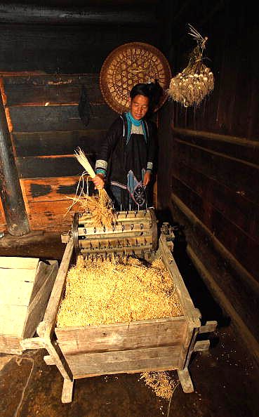 Традиційна молотарка для зерна. Фото: Getty Imagesа 
