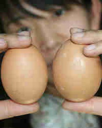Фальшивые и настоящие яйца на вид неотличимы