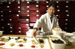 Искусство приготовления лечебных трав — очень важный момент в традиционной китайской медицине и уже тысячелетиями высоко развито. Фото: Маргунд Залловски/Photo courtesy RMIT
