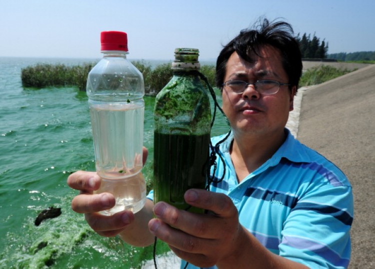 Китайская провинция Цзянсу. У Лихун, активист по защите окружающей среды держит в руках две бутылки с водой, чтобы показать разницу между чистой водой и водой, загрязненной водорослями с озера Тайху. (Mark Ralston/AFP/Getty Images)