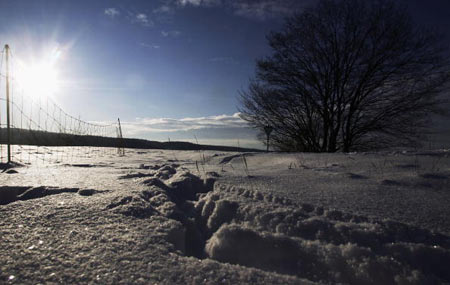 Мороз и солнце - день чудесный.... Шумишил (Schumishill), Леонберг (Leonberg ), Германия. Фото: Thomas Niedermueller/Getty Images