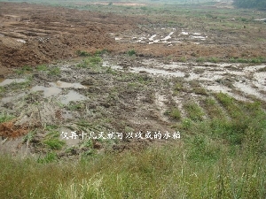 Земля, которую местные власти пытаются забрать у крестьян незаконным способом. Провинция Фуцзянь. Фото: epochtimes.com