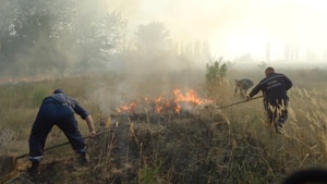 В Херсонській області горіло 120 га лісу: є постраждалі. Фото: mns.gov.ua