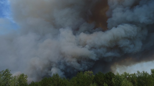 Лісова пожежа. В Україні оголосили високу пожежну небезпеку. Фото: МНСУ