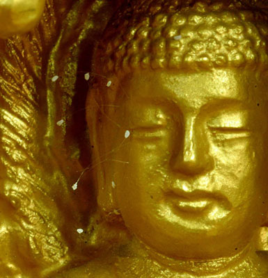 Удумбара  на лице статуи Бодхисаттвы в храме Суми Цзэнь в Корее 