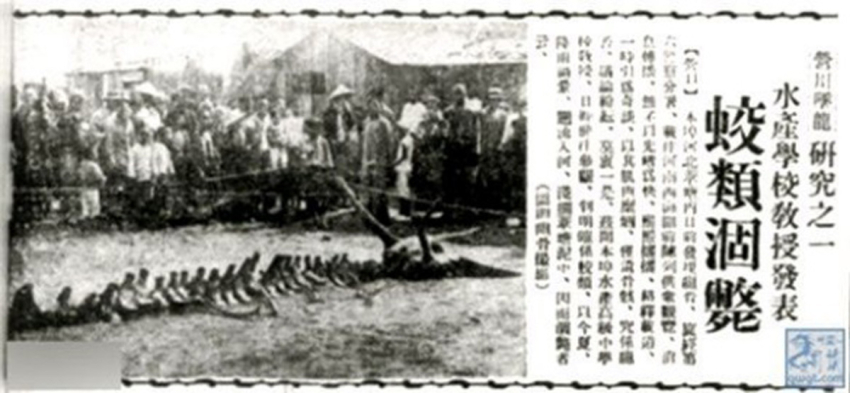 Сообщение в газете Shengjing Times о водяном драконе, который умер без воды