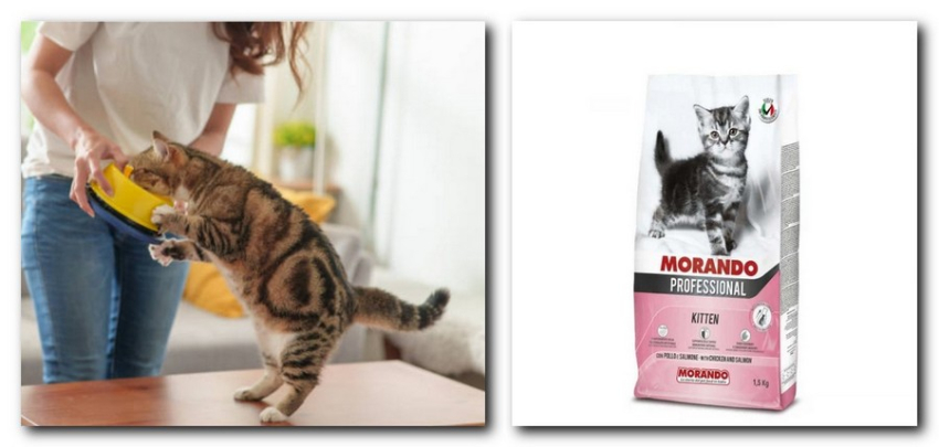 Корм Morando