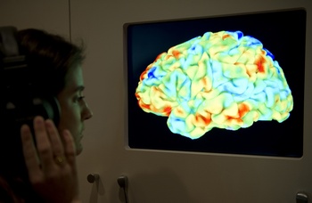 Способность к сопереживанию свойственна даже жестоким людям. При сканировании мозга было замечено, что область, ответственная за ощущение боли, активизируется только после просьбы «представить» боль. Фото: IGUEL MEDINA/AFP/Getty Images