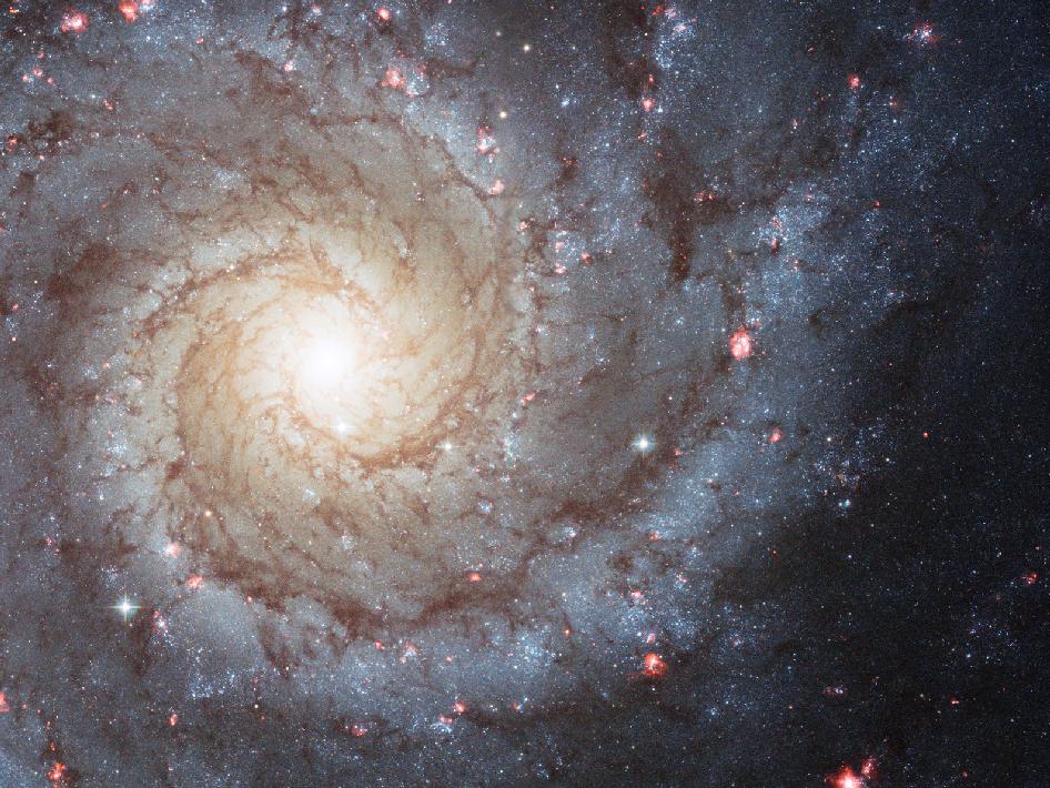 Организованная спиральная галактика. Фото: НАСА