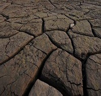 От засухи в Китае страдают более 11 миллионов человек. Фото: AFP