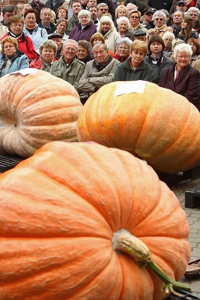 Фестиваль тыквы в Брэндоне, окраине Берлина. Фото: Sean Gallup/Getty Images