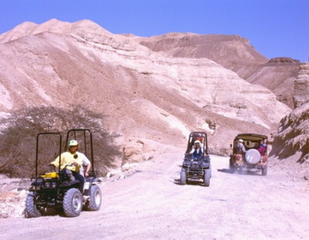 Природа создала такие формы: джип-тур через иудейскую пустыню. Фото: Эльке Бакерт