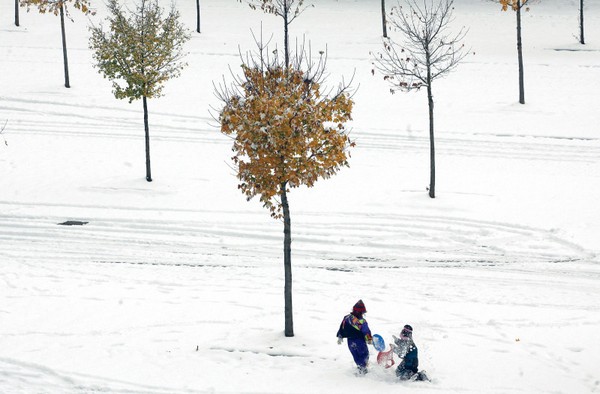 Первый снег в Баварии. Фото: Getty Images