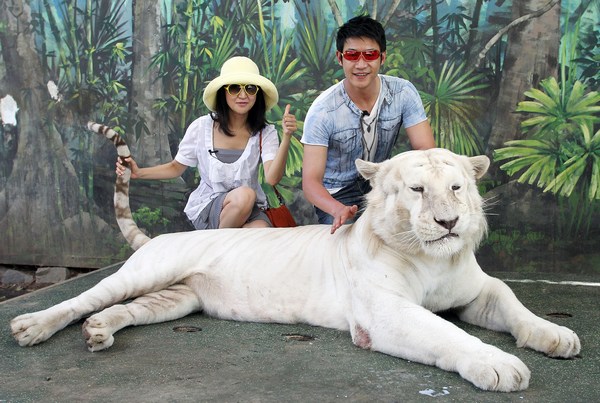Китайские кинозвезды Лу Ий (Lu Yi) и Леи Bao (Bao Lei посетили Бенгальского тигра в парке «Сказочная страна» 11 февраля 2010 в Голд-Косте, Австралия. Фото: Bradley Kanaris/Getty Images