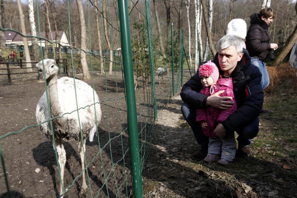 24 февраля, Межигорье, зоопарк Януковича. Фото: Bulent Doruk/Anadolu Agency/Getty Images