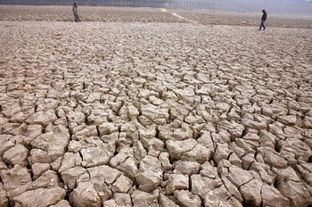 В Китае непрерывно сокращается площадь пахотных земель и ухудшается их плодородность. Фото: AFP PHOTO