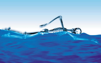 В воде масса тела человека уменьшается в 10 раз, а врожденная способность держаться на воде позволяет избежать ударов. Фото: Digital Vision/Getty Images