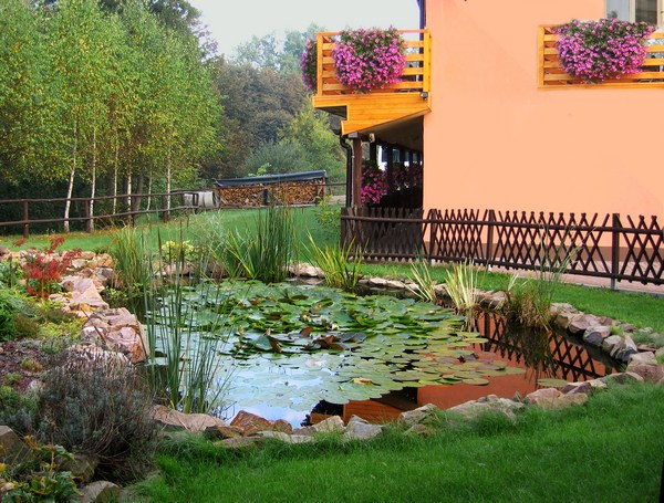 Дача и пруд с водяными лилиями. Фото: Валерия Мирошко