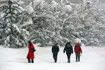В Синьцзяне снегопады побили 57-летний рекорд. Фото: AFP
