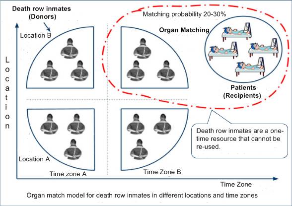 Модель, иллюстрирующая, какова вероятность подбора подходящих органов у казненных заключенных («доноров»), находящихся в различных местах и в разное время. Фото: The Epoch Times