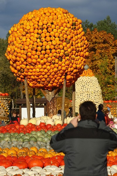 Фестиваль тыквы в Брэндоне, окраине Берлина. Фото: Sean Gallup/Getty Images