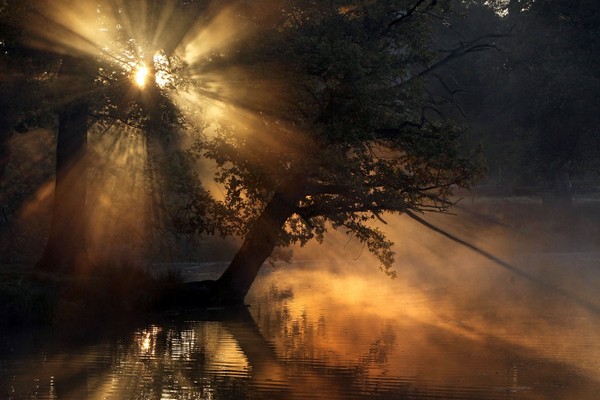 Золотая осень в Англии. Фото: Getty Images