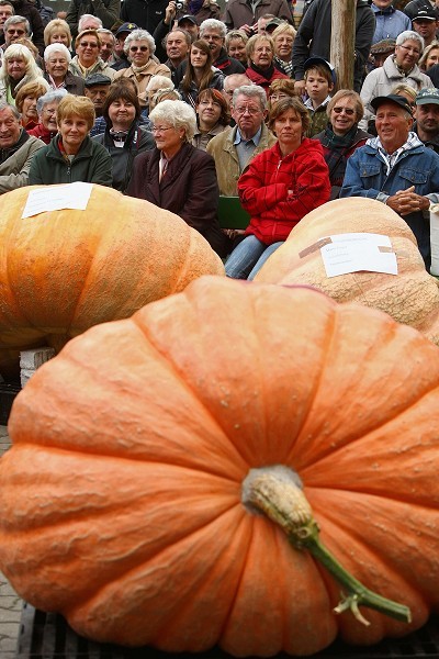 Фестиваль тыквы в Брэндоне, окраине Берлина. Фото: Sean Gallup/Getty Images