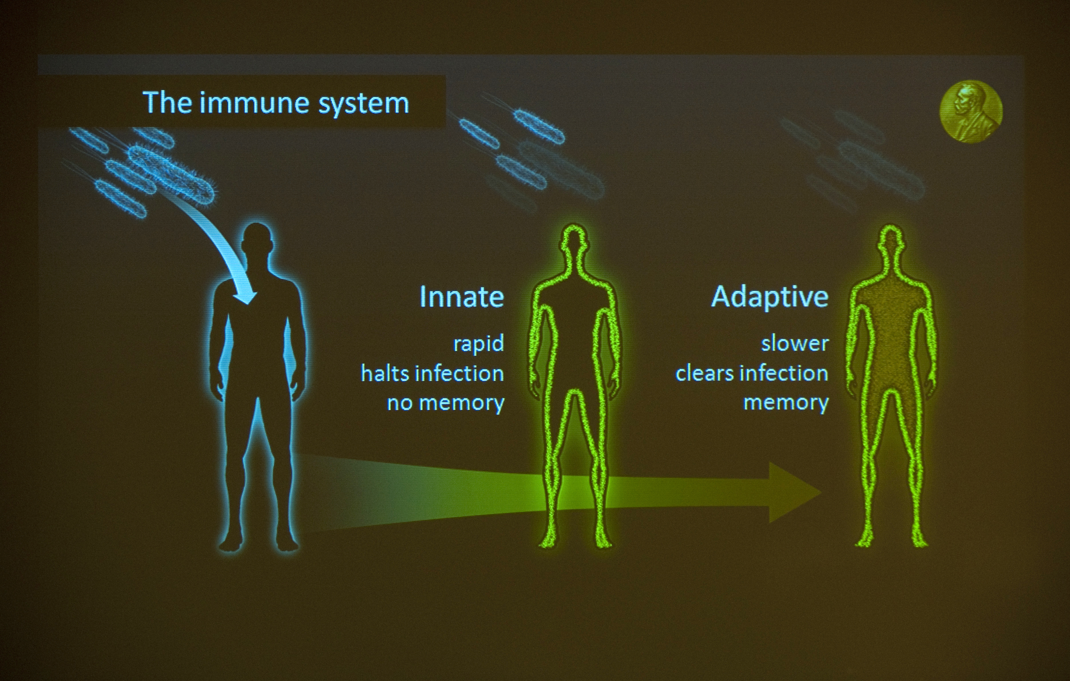 Клетки иммунной системы (макрофаги) имеют способность к распознанию высокого уровня Na в коже. Фото: JONATHAN NACKSTRAND/AFP/Getty Images