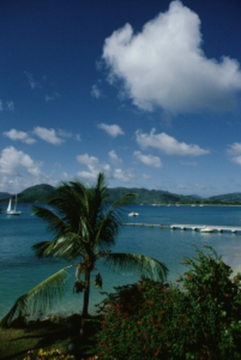 Лагуна Мартиники. Фото с сайта Photo.com