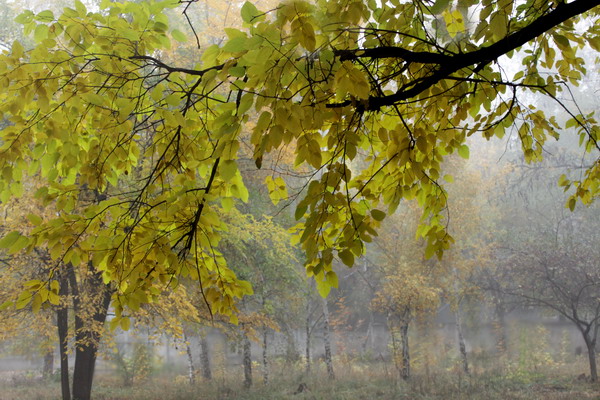 Здравствуй, госпожа Осень. Фото: Ирина Рудская/Великая Эпоха 
