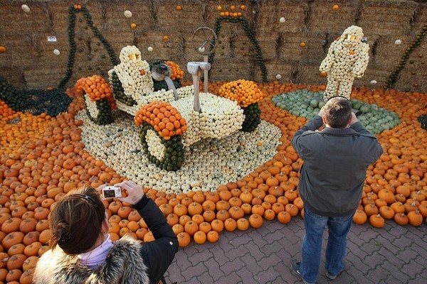 Фестиваль тыквы в Брэндоне, окраине Берлина. Фото: Sean Gallup/Getty Images