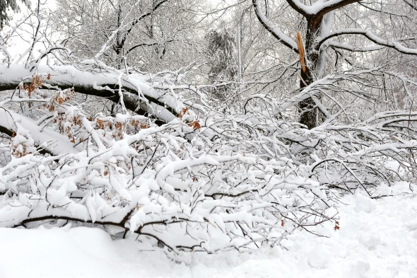 Фото: Jamie Squire/Getty Images