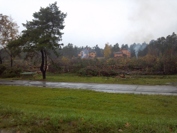 В ночь выборов вырубили 10 гектаров Быковнянского леса. Фото: forumspaskiev.org.ua