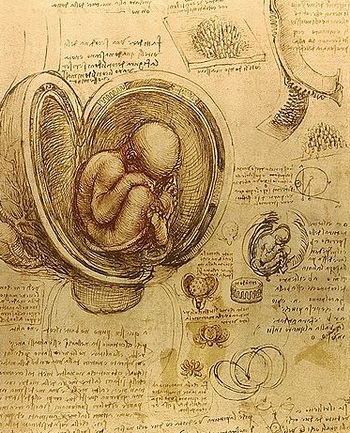 Такое совершенное творение Всевышнего как человек, стало для Леонардо постоянным источником изучения. Фото: commons.wikimedia.org