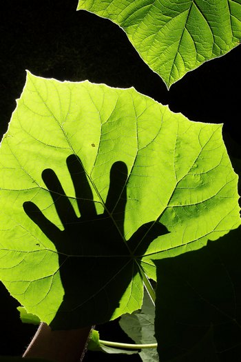 Рука человека наносит вред природе. Фото: Christopher Furlong/Getty Images