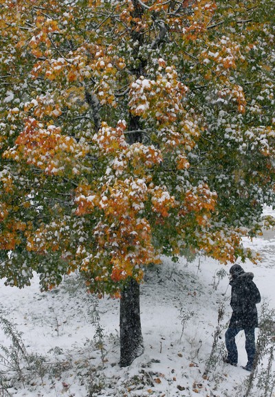 Первый снег в Баварии. Фото: Getty Images