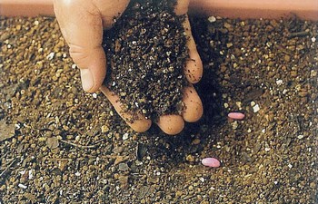 В результате чрезмерного использования химических удобрений в Китае окисляется почва. Фото с epochtimes.com