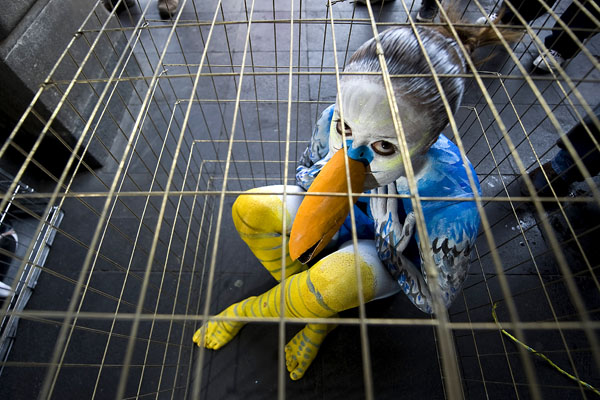 Член организации по защите прав животных, наряженный как птица, призывает не потреблять мясных продуктов. Фото: LUIS ACOSTA/AFP/Getty Images
