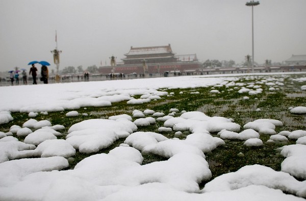 Сильный ранний снегопад прошёл в Пекине 1 ноября. Фото: ChinaFotoPress/Getty Images 