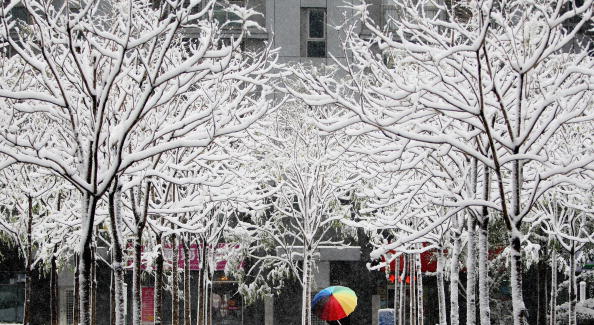 Сильный ранний снегопад прошёл в Пекине 1 ноября. Фото: ChinaFotoPress/Getty Images 