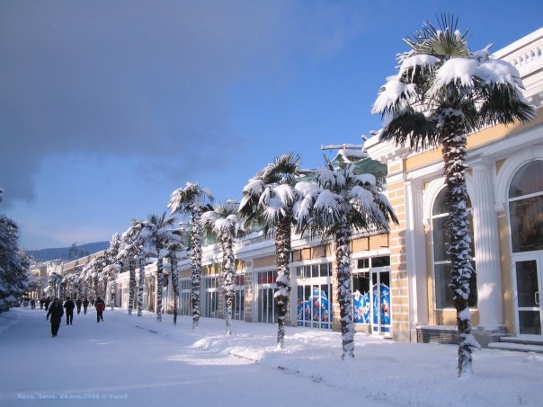 Зимняя Ялта. Фото с otdyh-v-yalte.com
