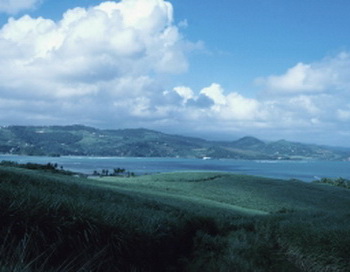 Прибрежный ландшафт Мартиники, Карибское море. Фото с сайта Photo.com